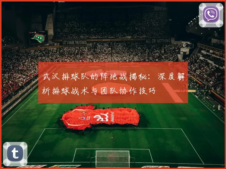 武汉排球队的阵地战揭秘：深度解析排球战术与团队协作技巧