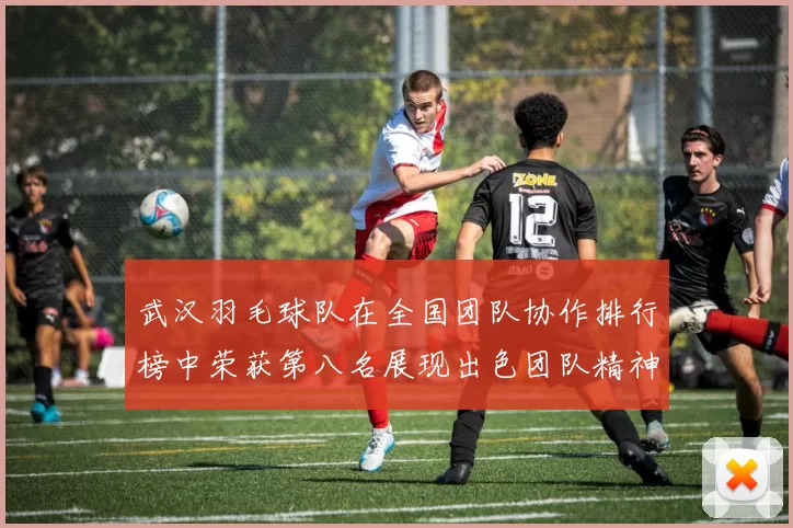 武汉羽毛球队在全国团队协作排行榜中荣获第八名展现出色团队精神与实力